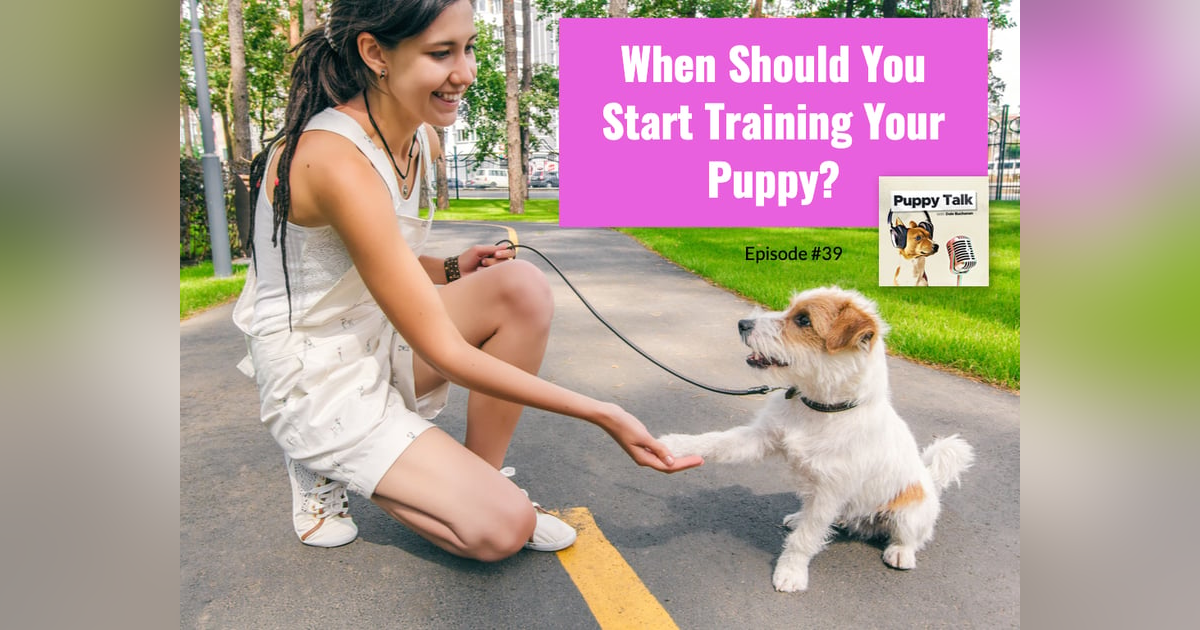 When Should You Start Training Your Puppy? When Should You Start Training Your Puppy?