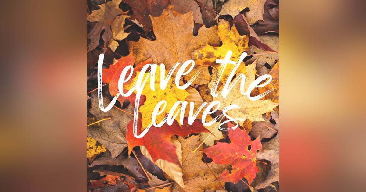 BONUS: Leave the Leaves with David Mizejewski BONUS: Leave the Leaves with David Mizejewski