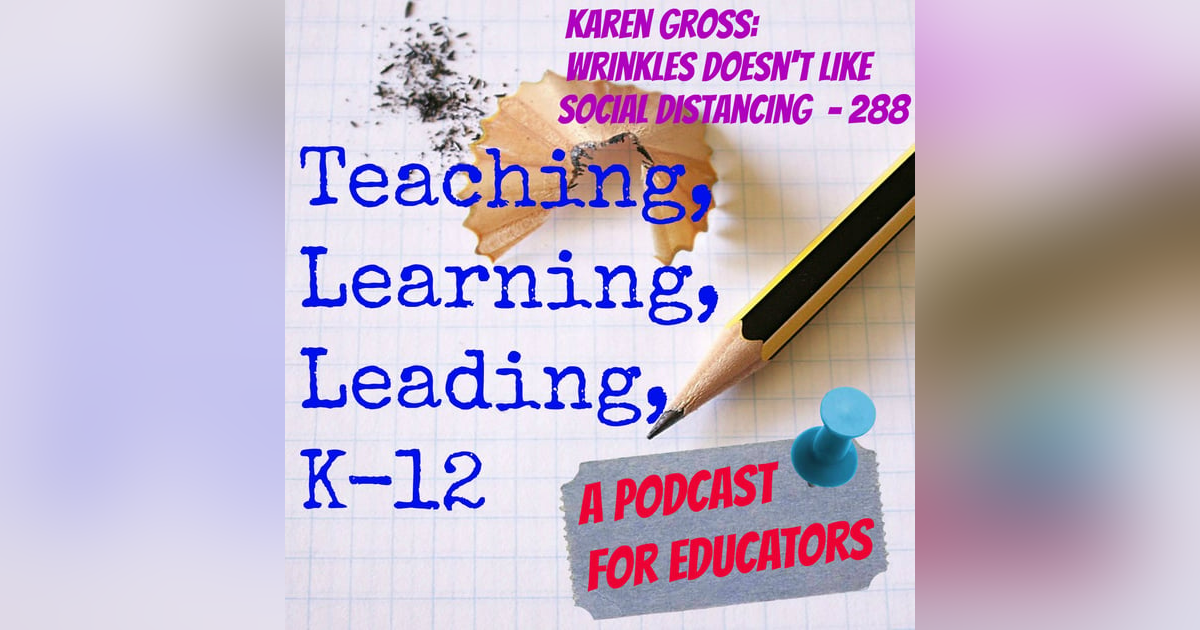 Karen Gross: Wrinkles Doesn't Like Social Distancing - 288 Karen Gross: Wrinkles Doesn't Like Social Distancing - 288