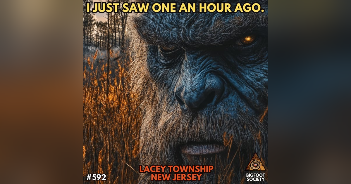 I Saw One An Hour Ago! I Saw One An Hour Ago!