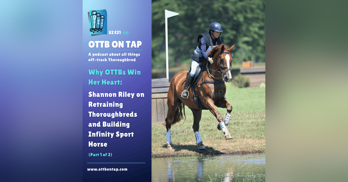 S2 E31: Why OTTBs Win Her Heart: Shannon Riley on Retraining Thoroughbreds and Building Infinity Sport Horse S2 E31: Why OTTBs Win Her Heart: Shannon Riley on Retraining Thoroughbreds and Building Infinity Sport Horse