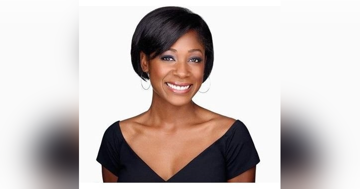 image for The Pivot: From TV Anchor to Bestselling Children's Author