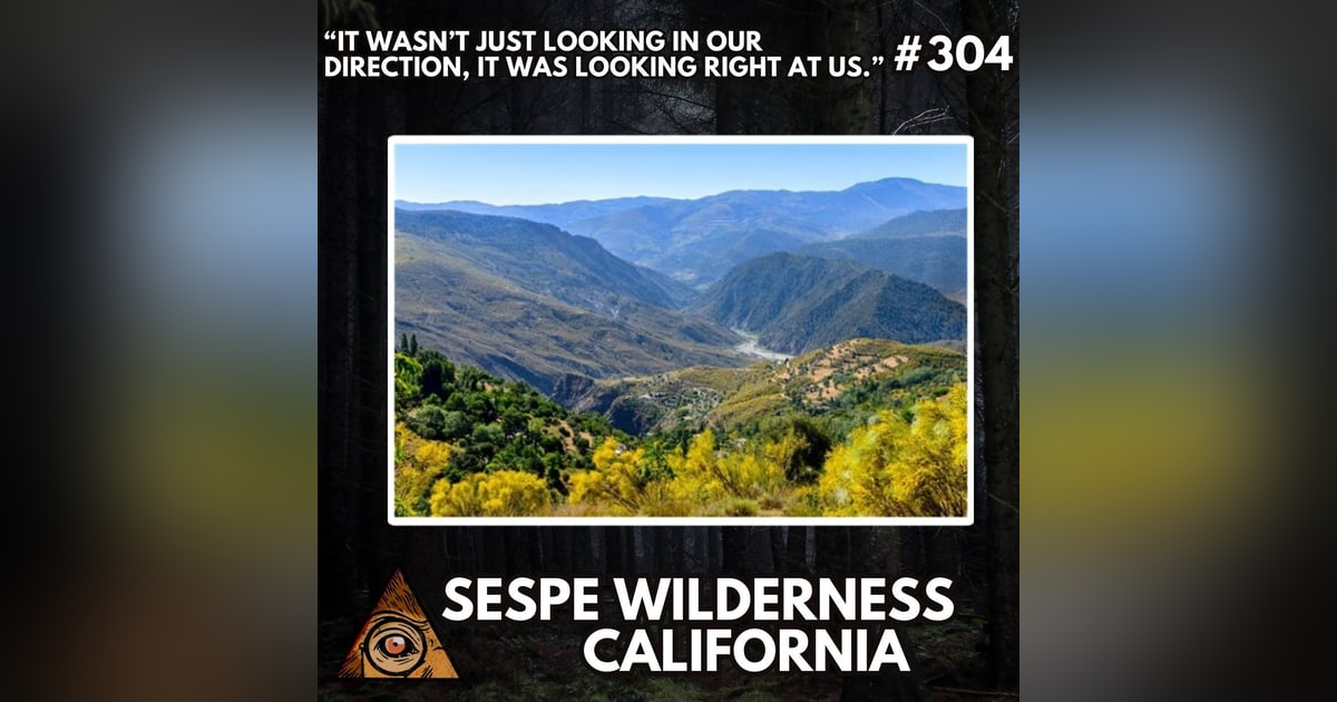 "It wasn't just looking in our direction, it was looking right at us! / Hieronymus Thermal "It wasn't just looking in our direction, it was looking right at us! / Hieronymus Thermal