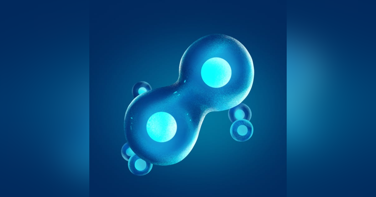 The Immortal Life Of Henrietta Lacks Full Chapter Brief The Immortal Life Of Henrietta Lacks Full Chapter Brief