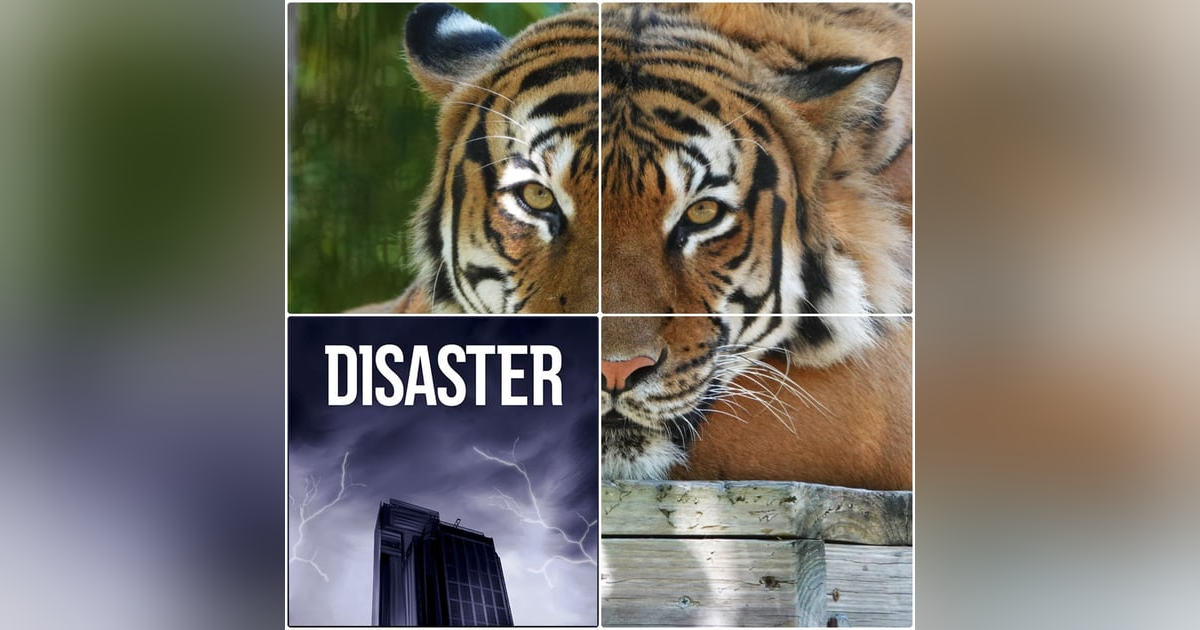 Obscura Presents: Disaster - Alligator and Tiger Doublesode Obscura Presents: Disaster - Alligator and Tiger Doublesode