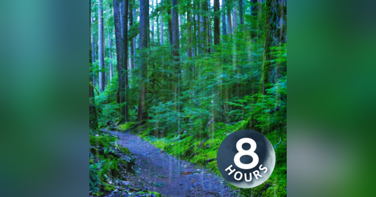 Sleep, Study or Focus with Rain Sounds in The Woods White Noise | 8 Hours Sleep, Study or Focus with Rain Sounds in The Woods White Noise | 8 Hours