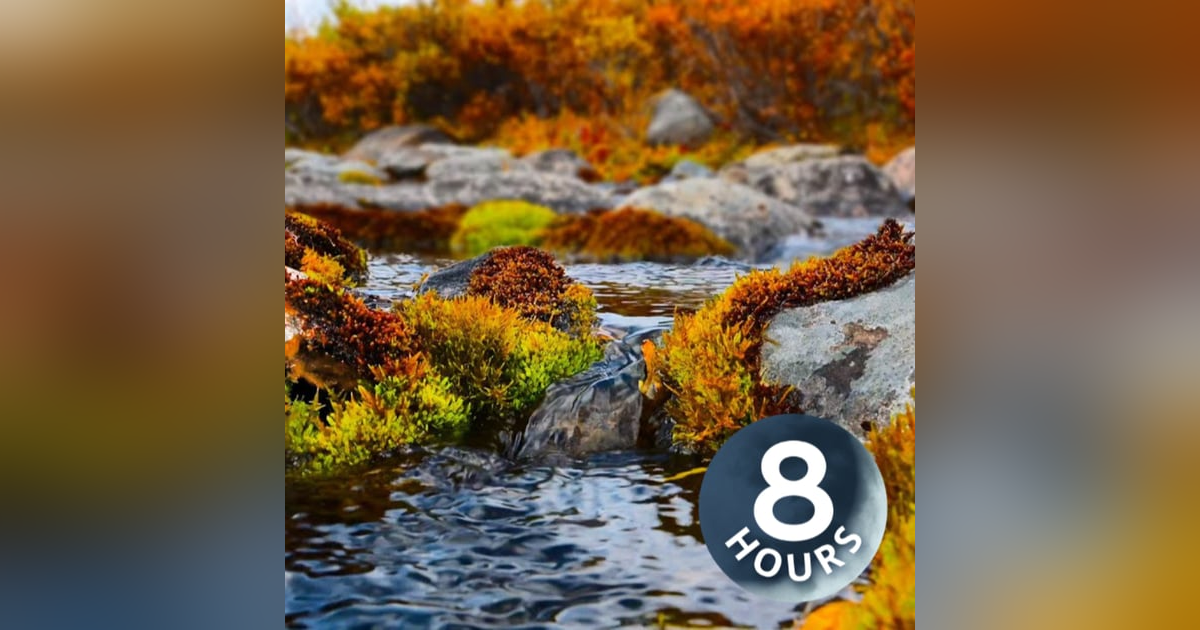 Water Sounds for Sleep 8 Hours | Nature Background & Stream in Canada Water Sounds for Sleep 8 Hours | Nature Background & Stream in Canada