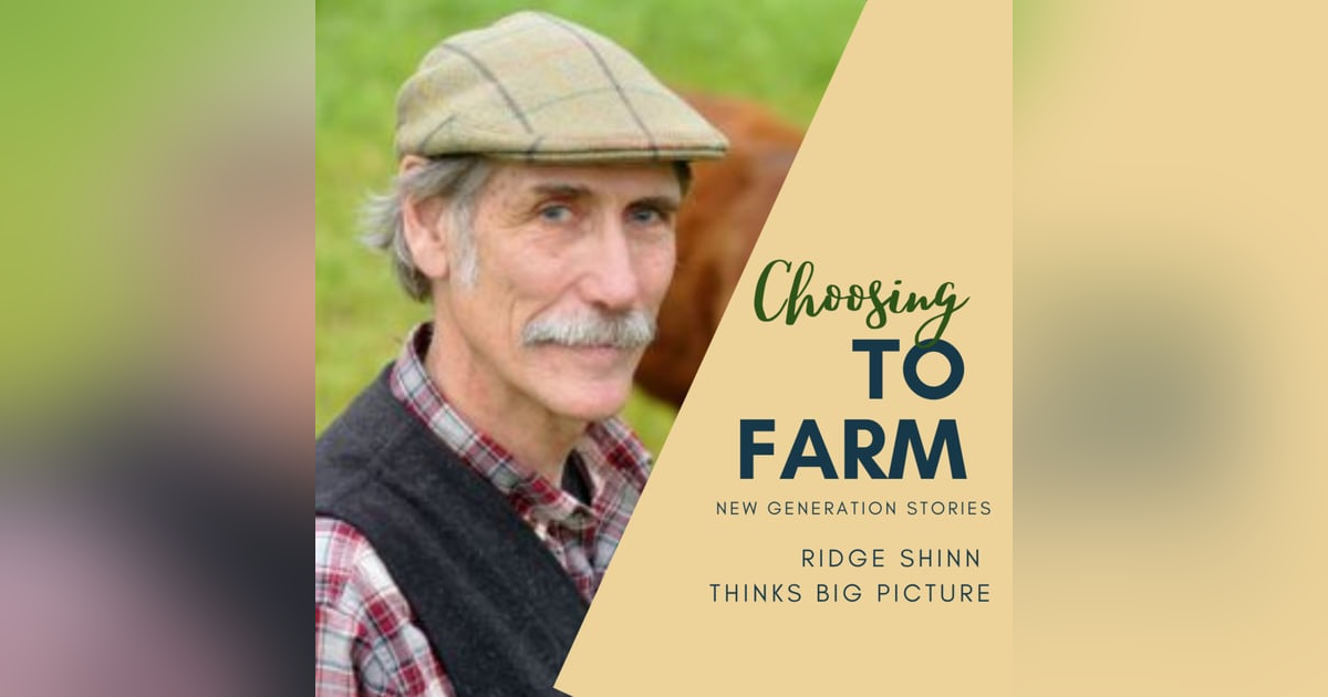 Ridge Shinn Thinks Big Picture Ridge Shinn Thinks Big Picture