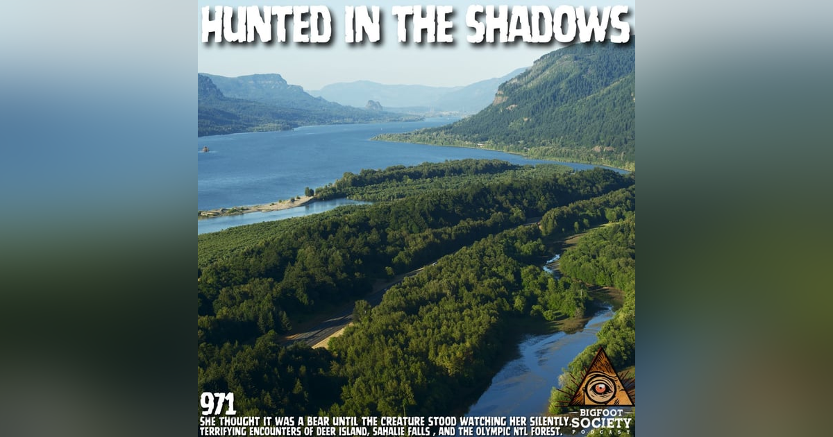 Forager Encounters Giant Squatting Figure in the Hamma Hamma River | Washington Forager Encounters Giant Squatting Figure in the Hamma Hamma River | Washington