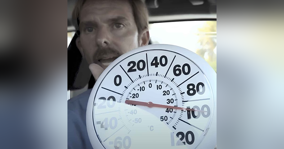 Vet Locks Himself In Hot Car - Plastic Surgery For Pets Vet Locks Himself In Hot Car - Plastic Surgery For Pets