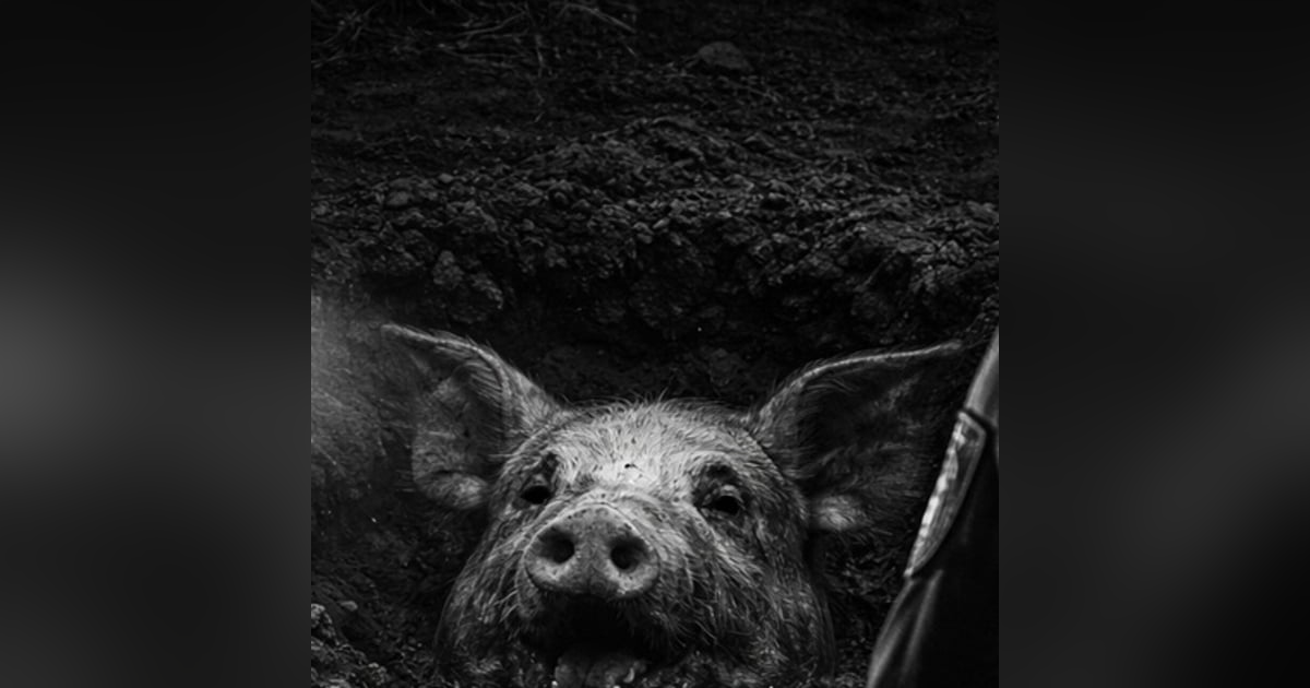 POLCÍAS De Atienden Un Llamado De Alguien Sin Vida Historias De Terror - REDE POLCÍAS De Atienden Un Llamado De Alguien Sin Vida Historias De Terror - REDE