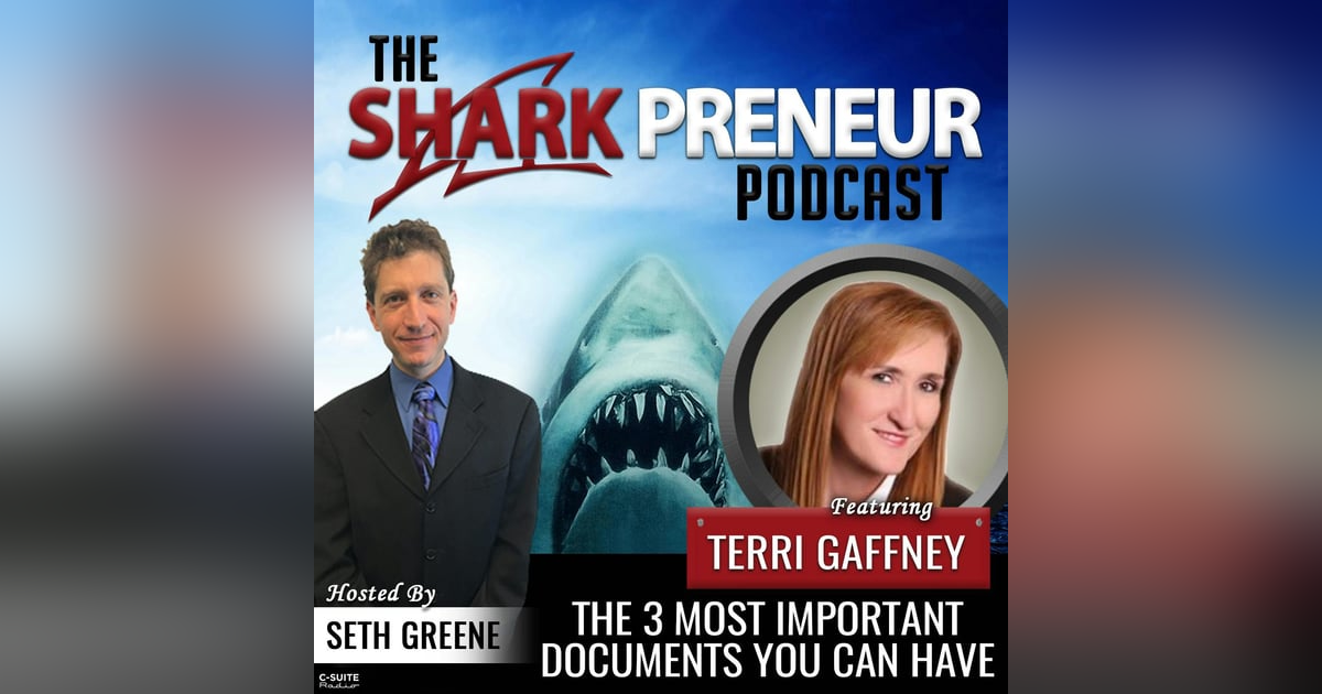 680: The Three Most Important Documents You Can Have with Terri Gaffney 680: The Three Most Important Documents You Can Have with Terri Gaffney