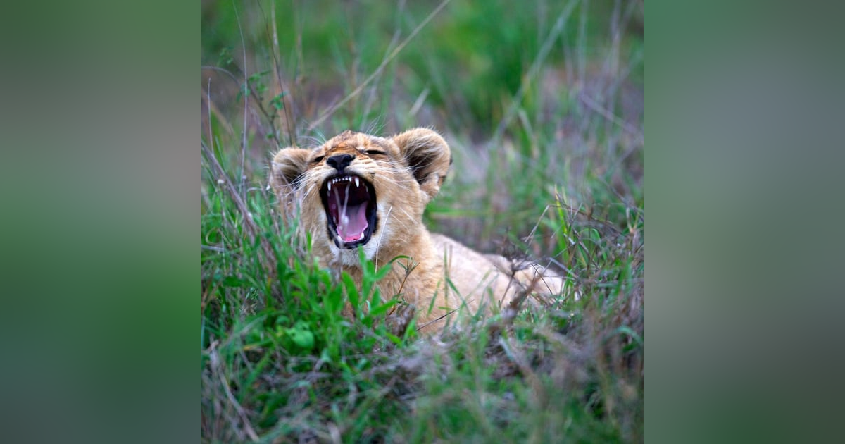 MOTIVATIONAL MOMENTS - GREATNESS MOTIVATIONAL MOMENTS - GREATNESS