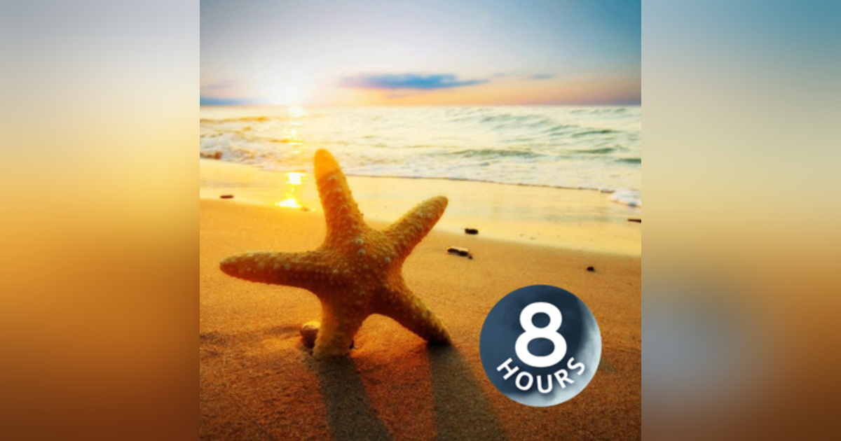 Beach Day 8 Hours | Ocean Sounds Help You Relax, Meditate or Fall Asleep Beach Day 8 Hours | Ocean Sounds Help You Relax, Meditate or Fall Asleep