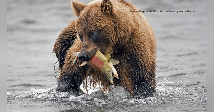 image for The Disconnect Between Hunting and Fishing Regulations and Public Understanding