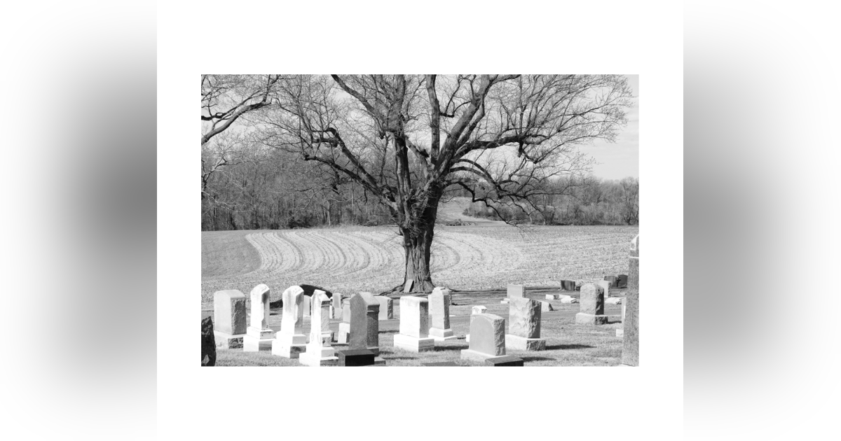 Everyday Buddhism 24 - Appreciating Life Through Death Meditation Everyday Buddhism 24 - Appreciating Life Through Death Meditation