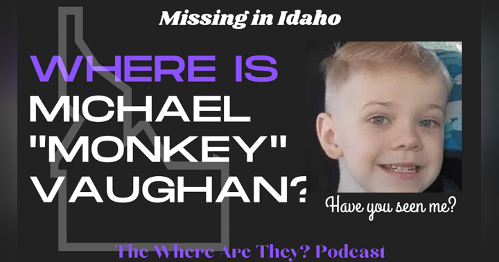 image for The Disappearance of Michael 'Monkey' Vaughan