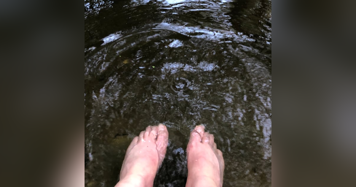 22. Hot and Bothered 22. Hot and Bothered