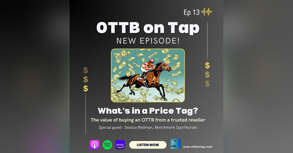 Ep. 13: What's a price tag? The value of buying an OTTB from a trusted reseller Ep. 13: What's a price tag? The value of buying an OTTB from a trusted reseller