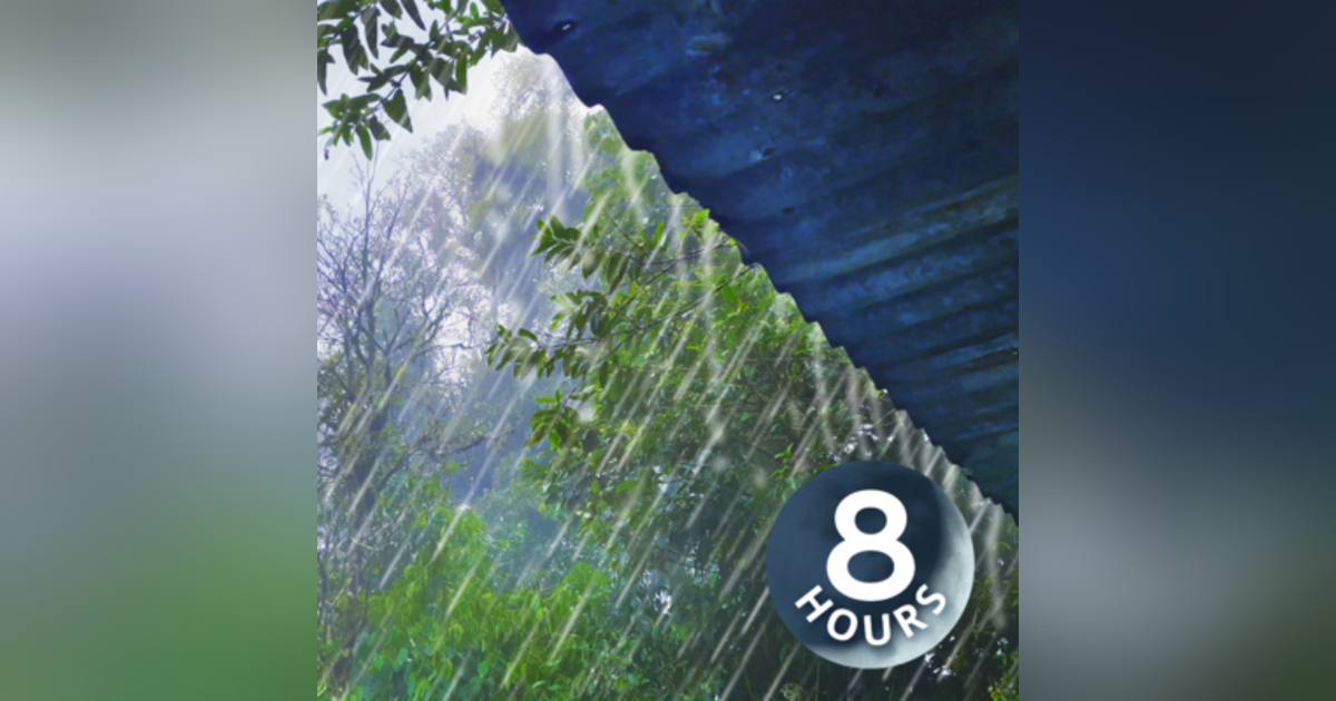 Rain on Tin Roof 8 Hours | Sleep, Study or Relax to Rain White Noise Rain on Tin Roof 8 Hours | Sleep, Study or Relax to Rain White Noise