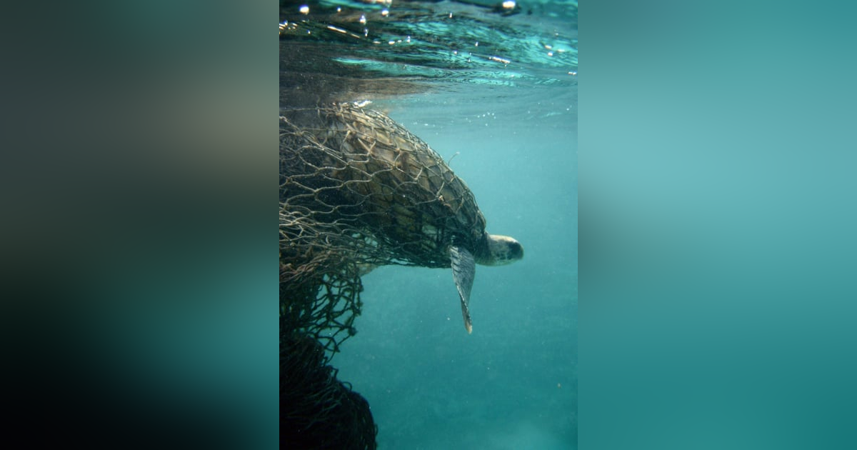 S1-E23 - Walls of Death S1-E23 - Walls of Death