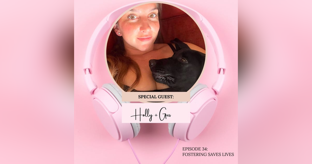 Fostering Animals Saves Lives: The Story of Sweet Gus, disabled Great Dane + Black Lab mix Fostering Animals Saves Lives: The Story of Sweet Gus, disabled Great Dane + Black Lab mix