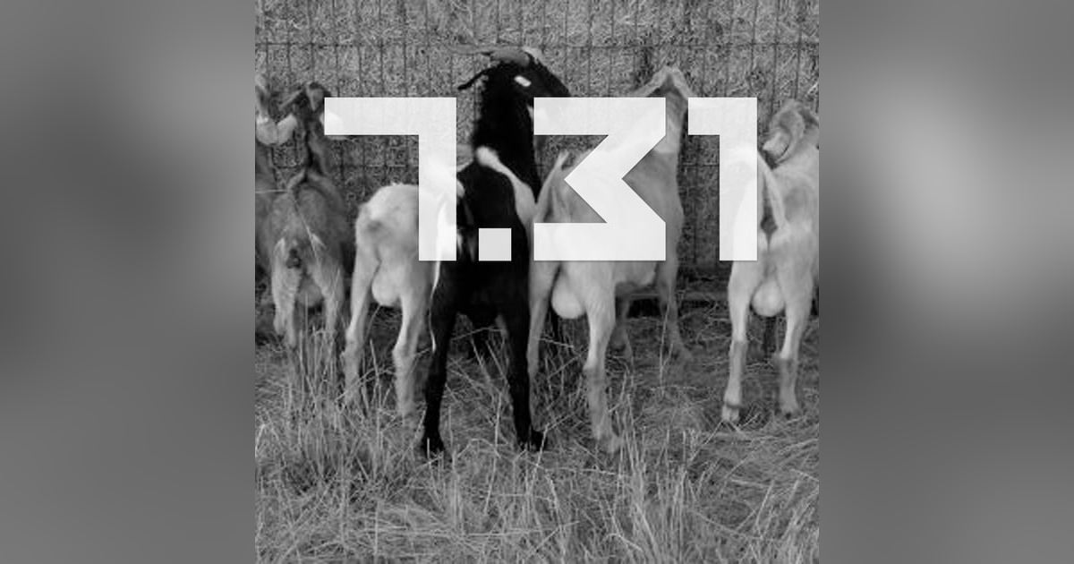 S7E31 - Dr. Brinkley's Balls pt 1 S7E31 - Dr. Brinkley's Balls pt 1