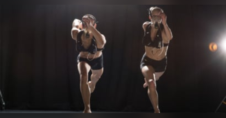 image for Pillars of Dance Science