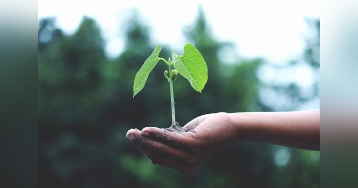 image for Mindset, Not Mechanics: Emotional Intelligence as the Real Engine of Business Growth