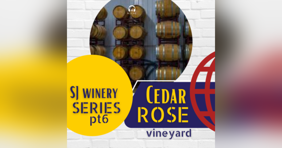 South Jersey Wineries pt6 🍇 Our Best Wines South Jersey Wineries pt6 🍇 Our Best Wines