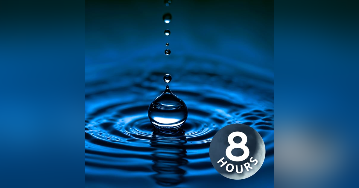 Rain Sounds for Sleeping | 8 Hour Pitter-Patter Pond Sound Rain Sounds for Sleeping | 8 Hour Pitter-Patter Pond Sound