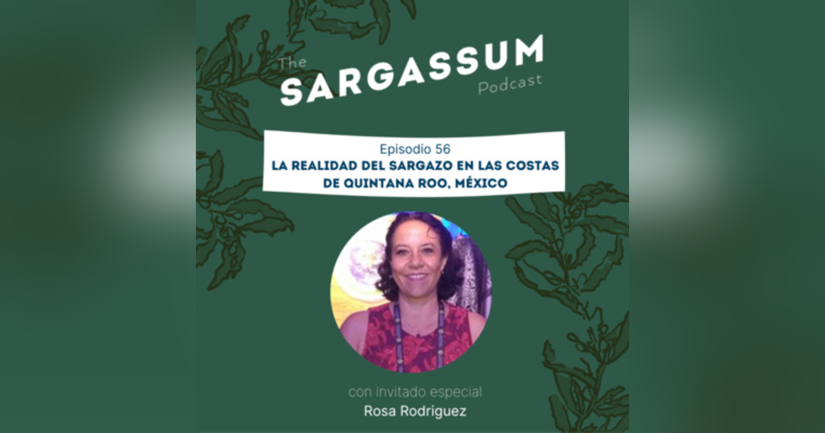 E56 La realidad del sargazo en las costas de Quintana Roo, México E56 La realidad del sargazo en las costas de Quintana Roo, México