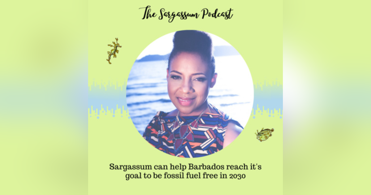 Ep.29: An Entire Island Nation Driving on Sargassum with Dr. Legena Henry Ep.29: An Entire Island Nation Driving on Sargassum with Dr. Legena Henry