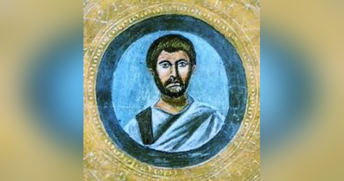 Terence: The Bloom of Youth Terence: The Bloom of Youth