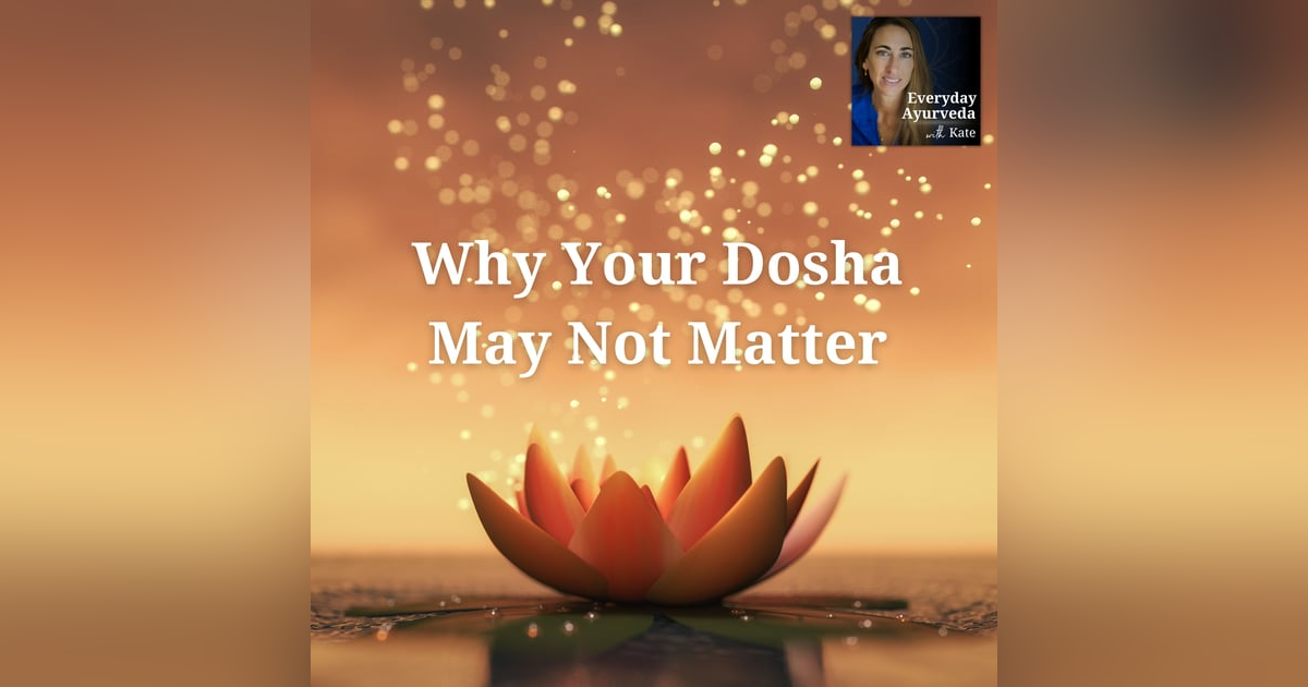 01: Intro to Ayurveda and Why Your Dosha Doesn't Matter So Much 01: Intro to Ayurveda and Why Your Dosha Doesn't Matter So Much