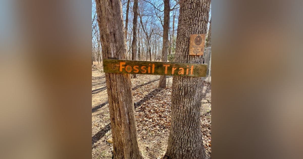 Fossil Finds and Fort Gibson Lake Adventures: Exploring Sequoyah State Park Fossil Finds and Fort Gibson Lake Adventures: Exploring Sequoyah State Park