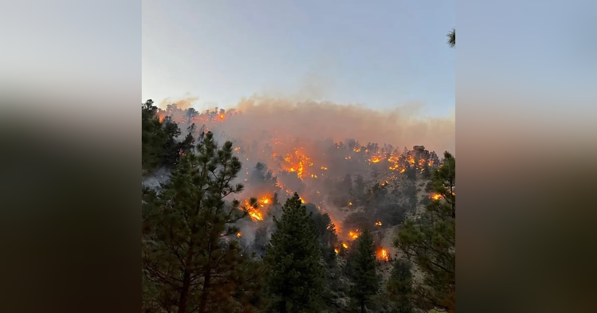 The Sheep Fire The Sheep Fire