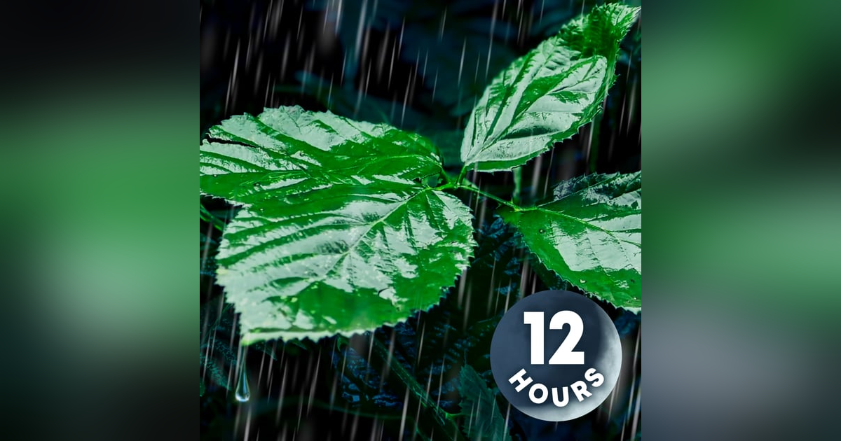 Relaxing Rain Noise for Sleep, Relaxation, & Total Tranquility 12-Hours Relaxing Rain Noise for Sleep, Relaxation, & Total Tranquility 12-Hours