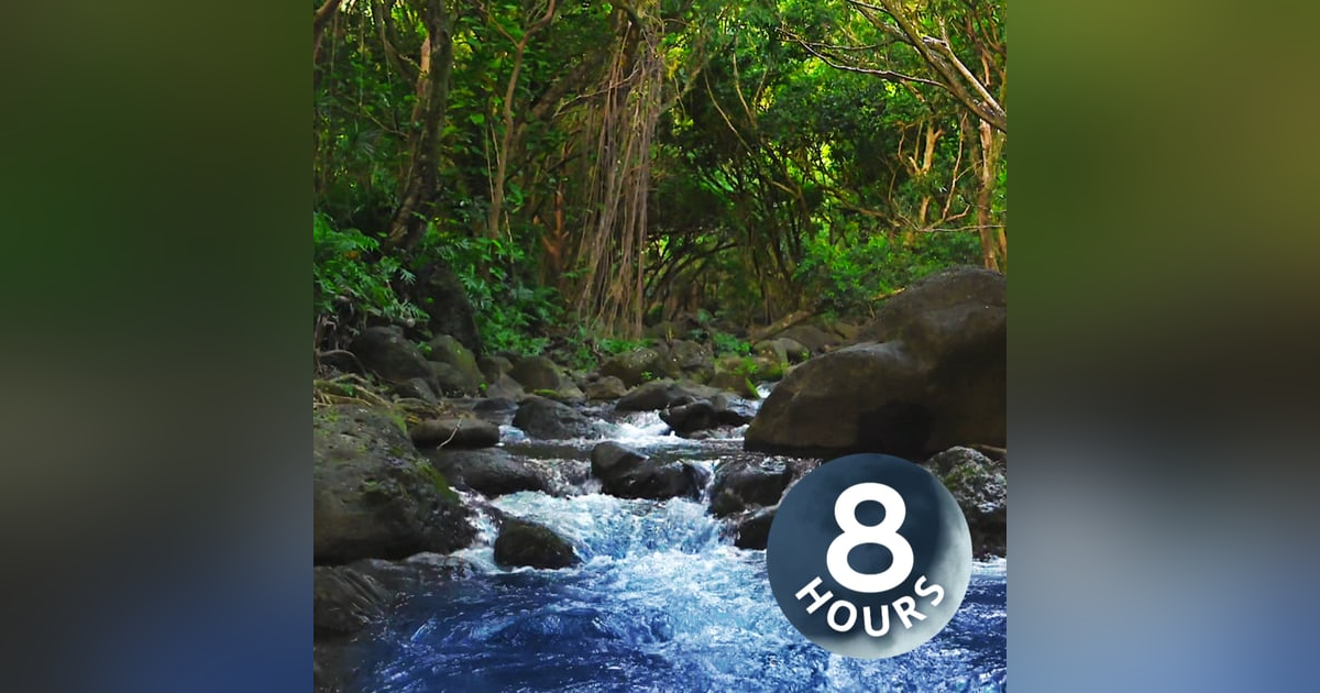 Water Sounds for Studying, Relaxation or Sleep | 8 Hours Soothing Stream Through Forest Water Sounds for Studying, Relaxation or Sleep | 8 Hours Soothing Stream Through Forest