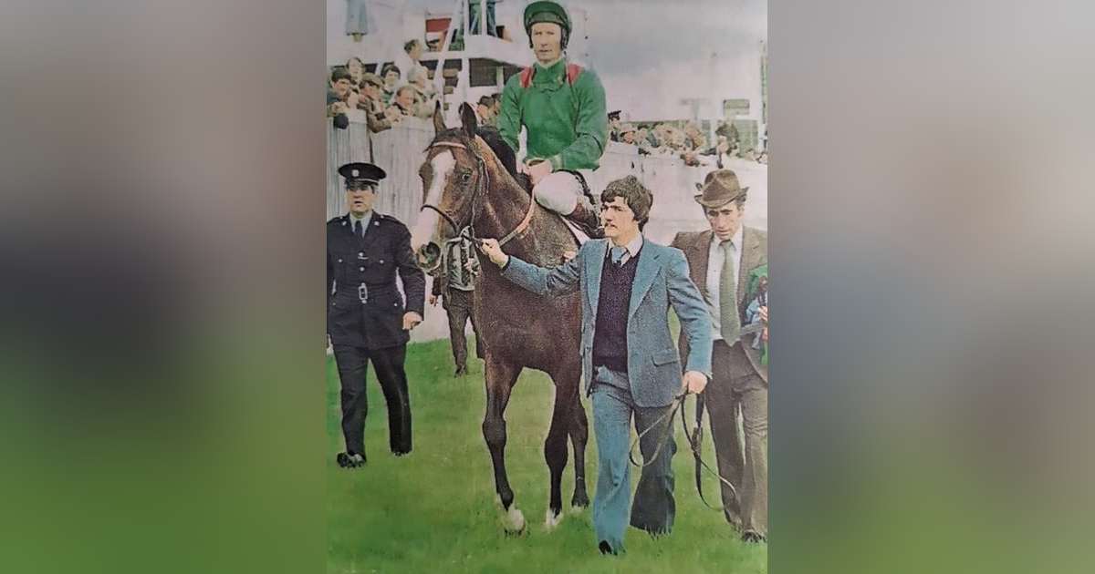 The Disappearance of a Legend: Shergars Story The Disappearance of a Legend: Shergars Story