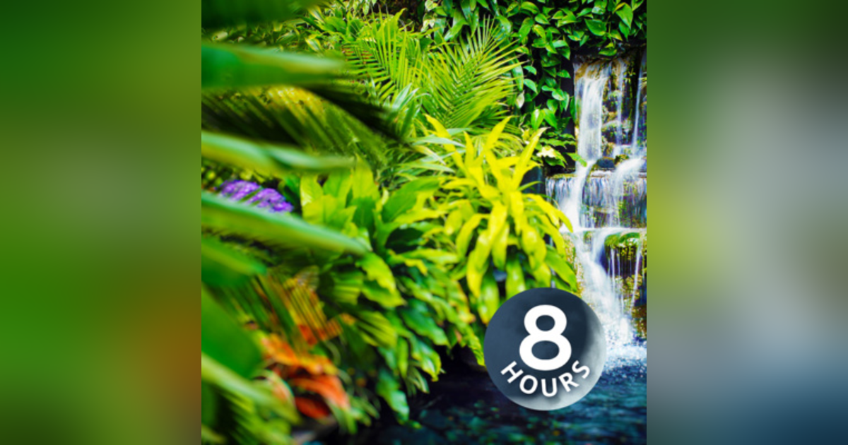 Gentle Stream Water Sounds White Noise 8 Hours | for Sleep, Relaxation or Studying Gentle Stream Water Sounds White Noise 8 Hours | for Sleep, Relaxation or Studying