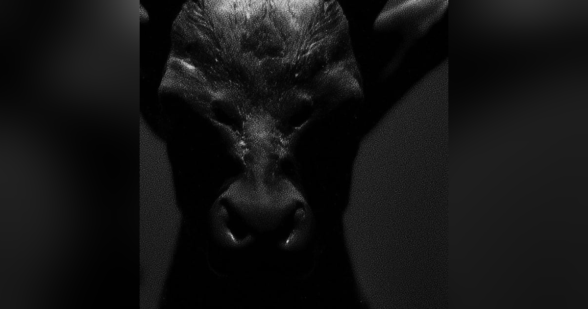 NAHUAL En San Ignacio de las Rocas Historias De Terror - REDE NAHUAL En San Ignacio de las Rocas Historias De Terror - REDE