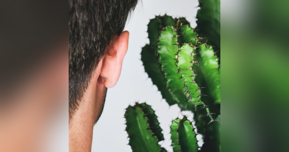 Speak to be Understood - Listen to Understand Speak to be Understood - Listen to Understand