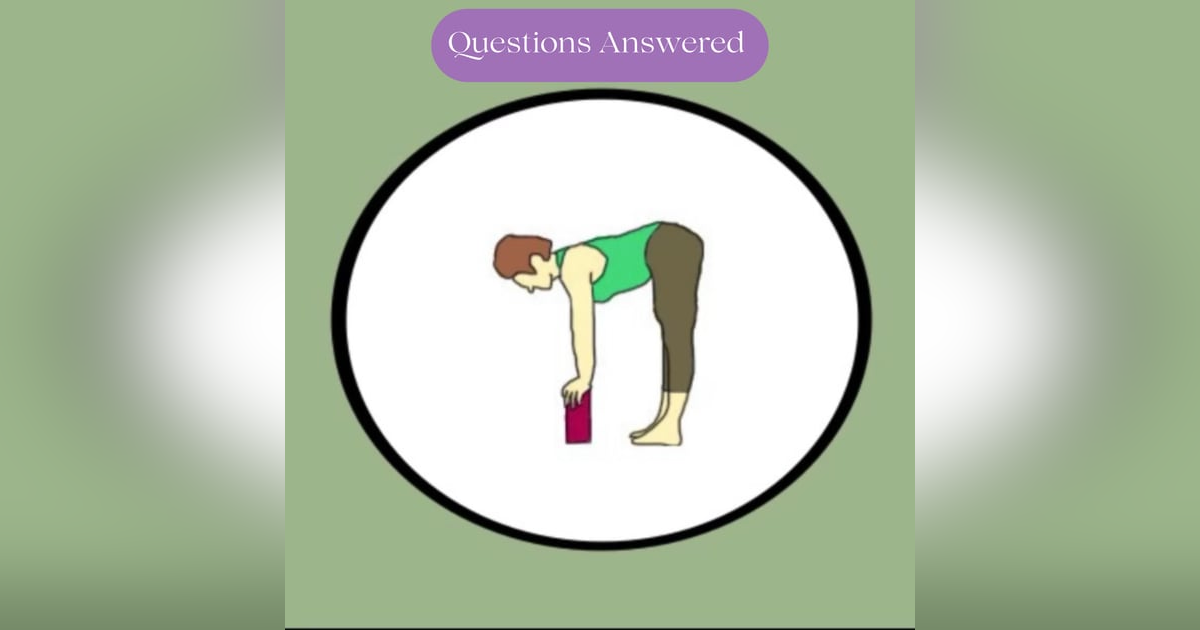More Q & A fun:  Are my arms too short for yoga? More Q & A fun:  Are my arms too short for yoga?