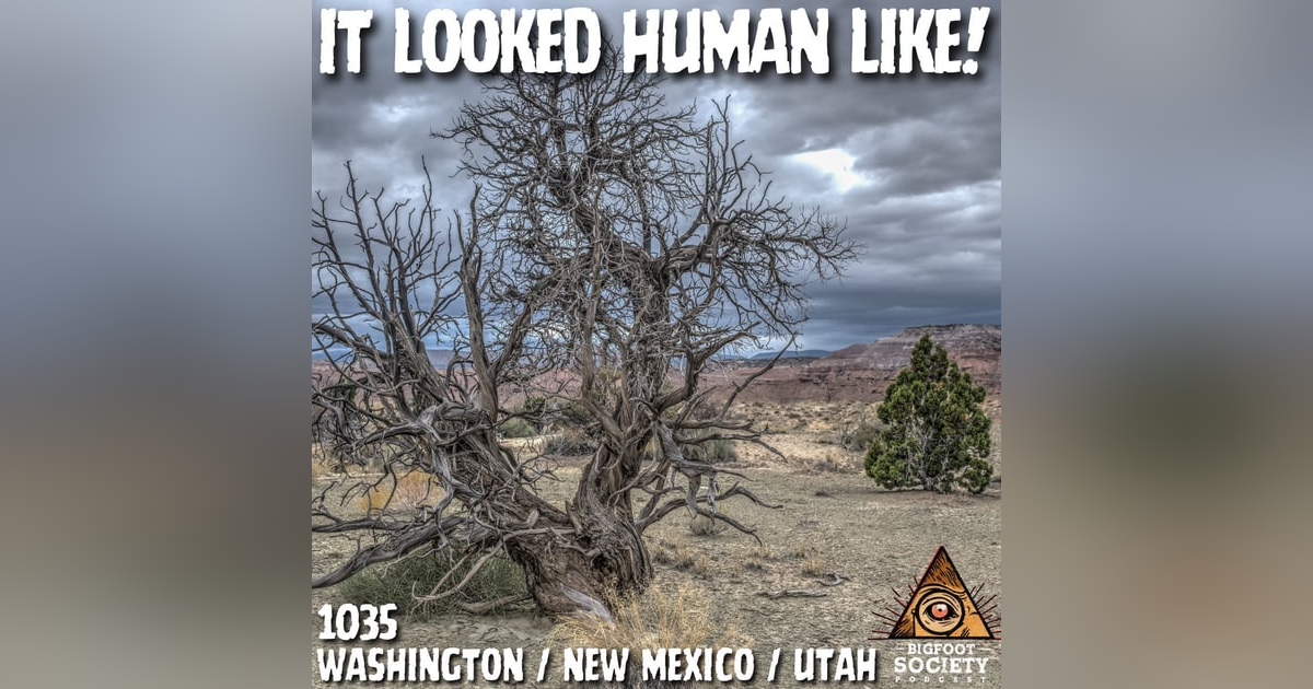 Three Bigfoot Cross a Road in Washington — Then It Gets Darker Three Bigfoot Cross a Road in Washington — Then It Gets Darker