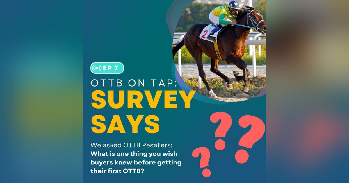 Ep.7 -- What Resellers Wish You Knew About OTTBs Ep.7 -- What Resellers Wish You Knew About OTTBs