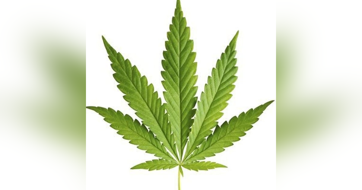 13 Folds Radio #37 13 Folds Radio #37