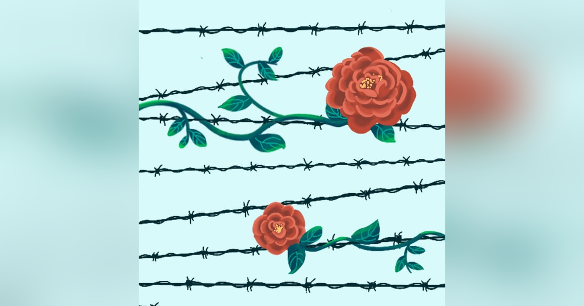 Embracing Freedom: A Journey Through Healing in 'The Choice' by Edith Eger Embracing Freedom: A Journey Through Healing in 'The Choice' by Edith Eger