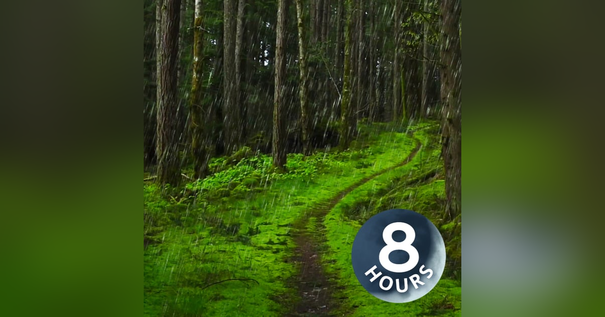 Rainstorm Sounds for Sleep, Relaxation, or Studying | 8 Hour Rain Ambience Rainstorm Sounds for Sleep, Relaxation, or Studying | 8 Hour Rain Ambience