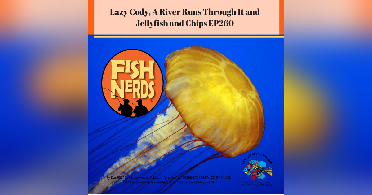 Lazy Cody, A RIver Runs Through It and Jellyfish and Chips EP260 Lazy Cody, A RIver Runs Through It and Jellyfish and Chips EP260